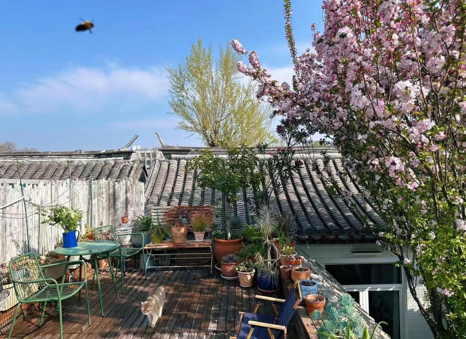 Peking Garden Boutique Hotel Exterior foto